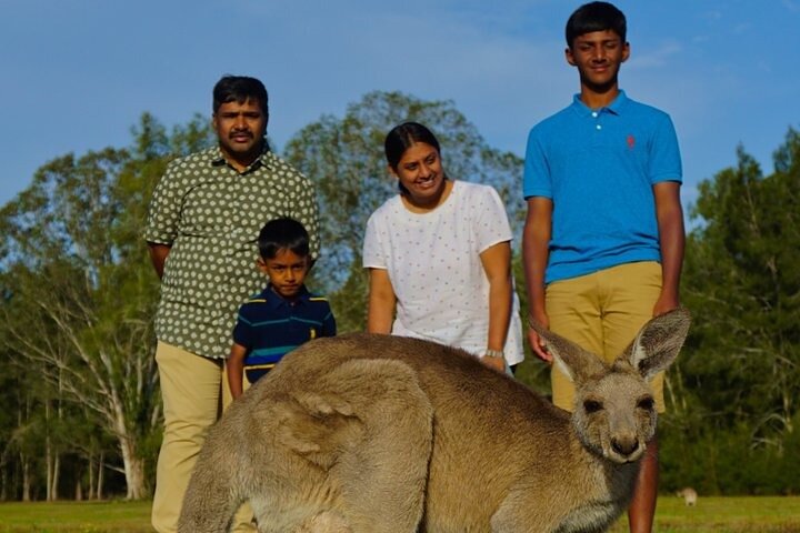 Kangaroos, Rainforest & Waterfalls Experience - Small Group