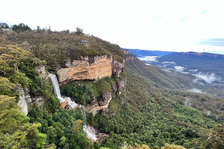 Blue Mountains Day Adventure, Featherdale Wildlife & River Cruise