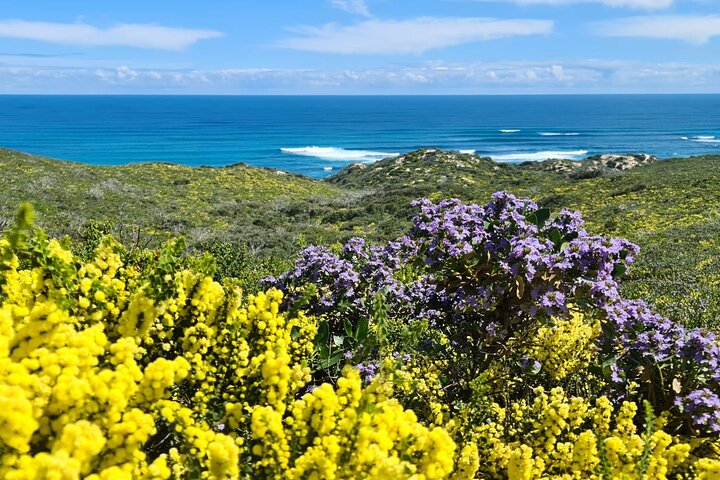 9-day Cape to Cape Hike & Resort Experience in Western Australia