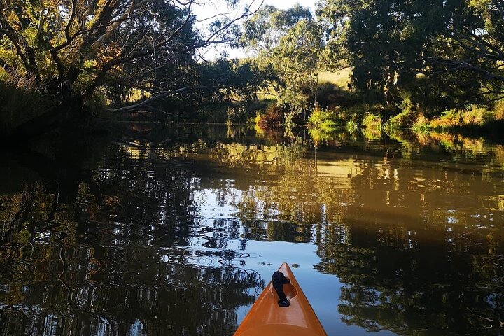 Kayaking in Geelong Victoria