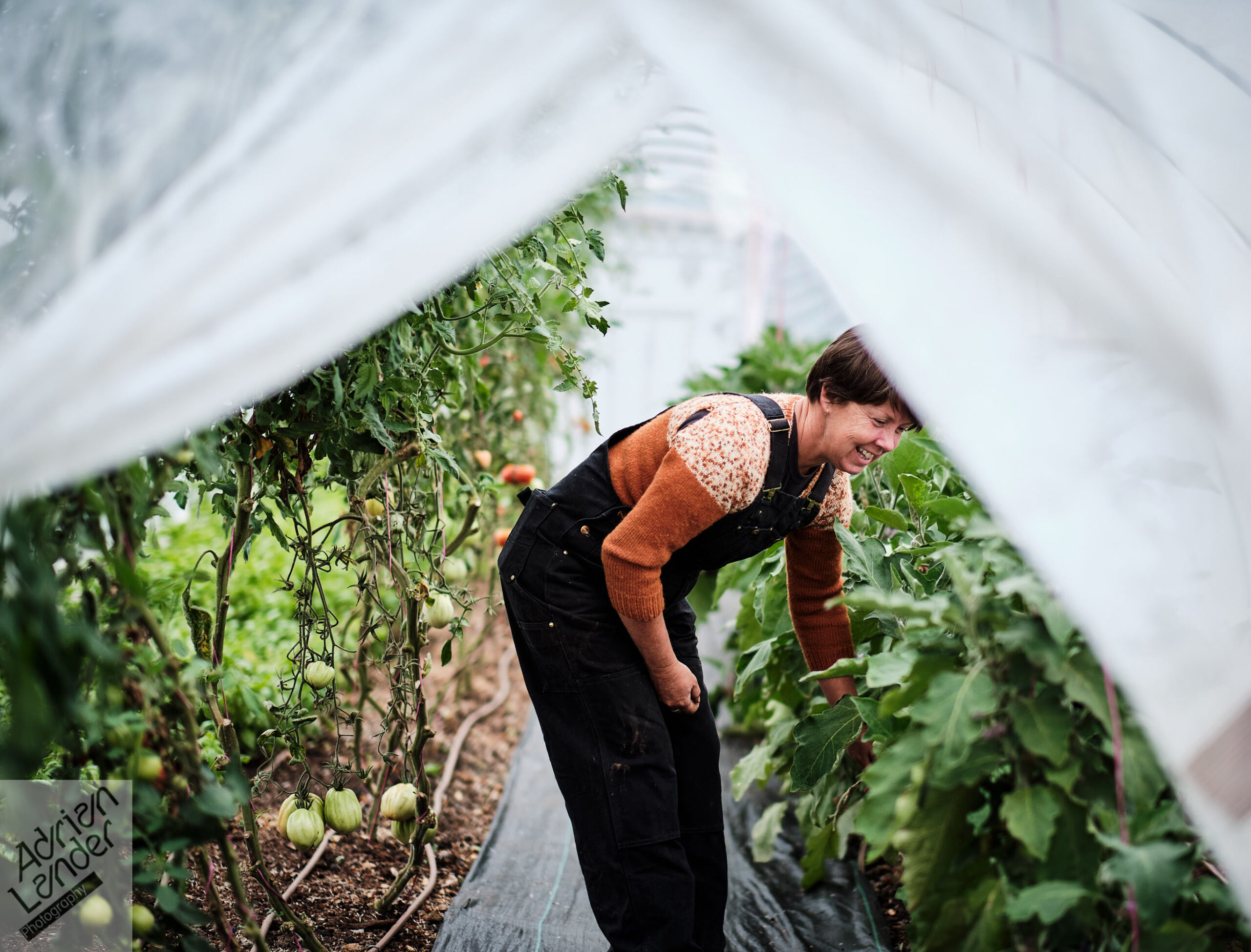 Icons of the Mornington Peninsula - Terroir to Table