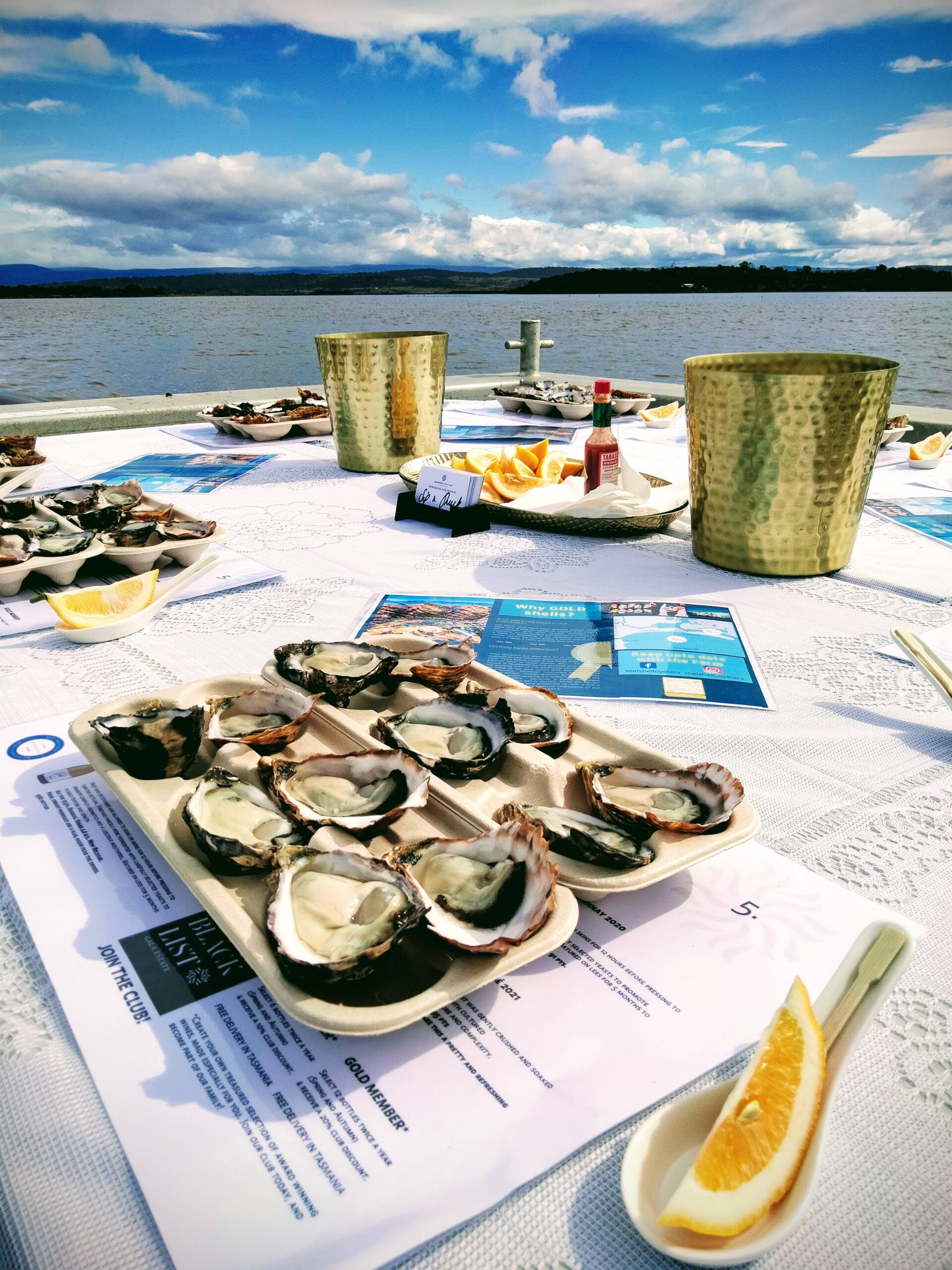 OYSTER FARM LUNCH WITH SHUCKING LESSON AND FARMING STORY