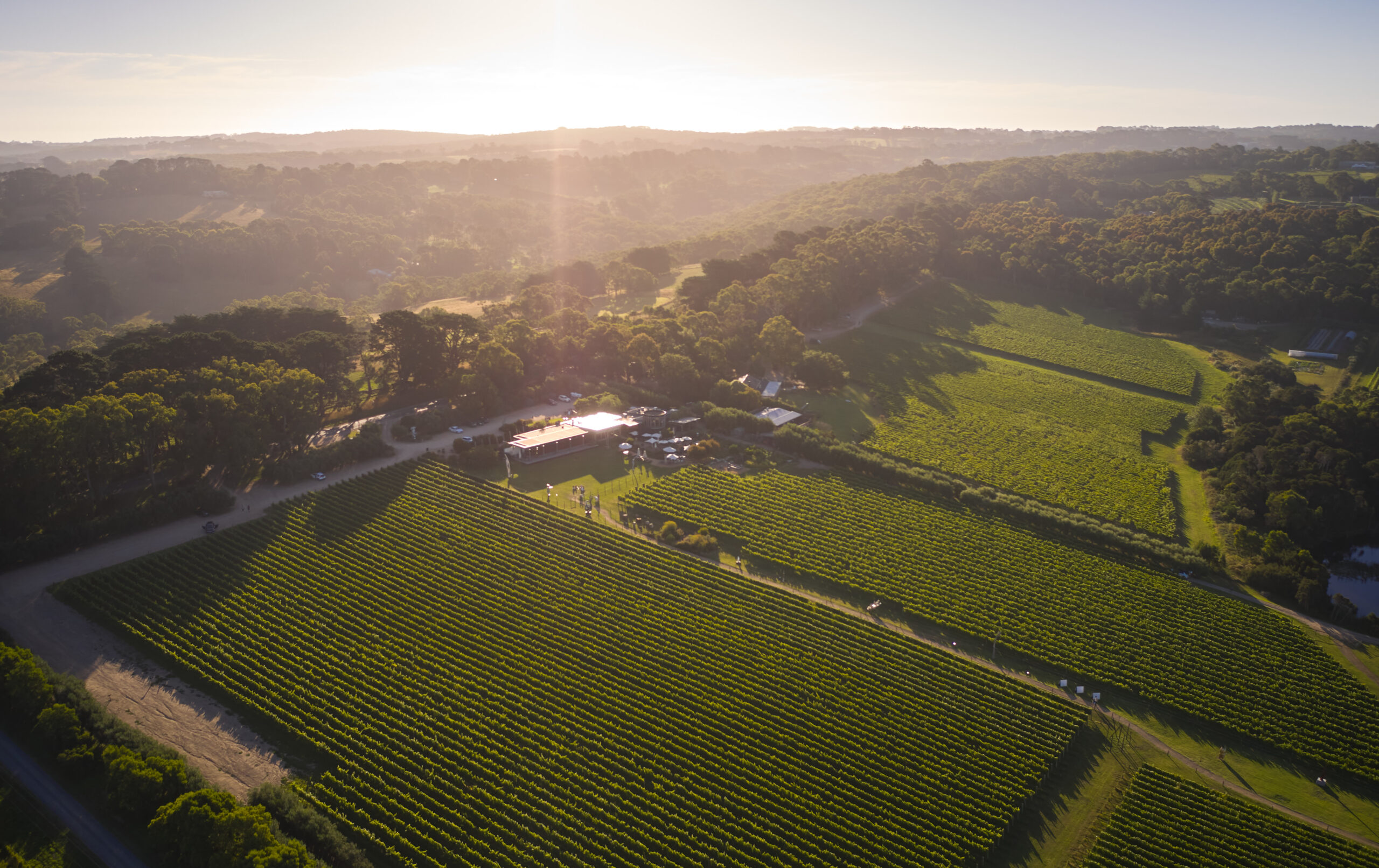 Icons of the Mornington Peninsula – Terroir to Table