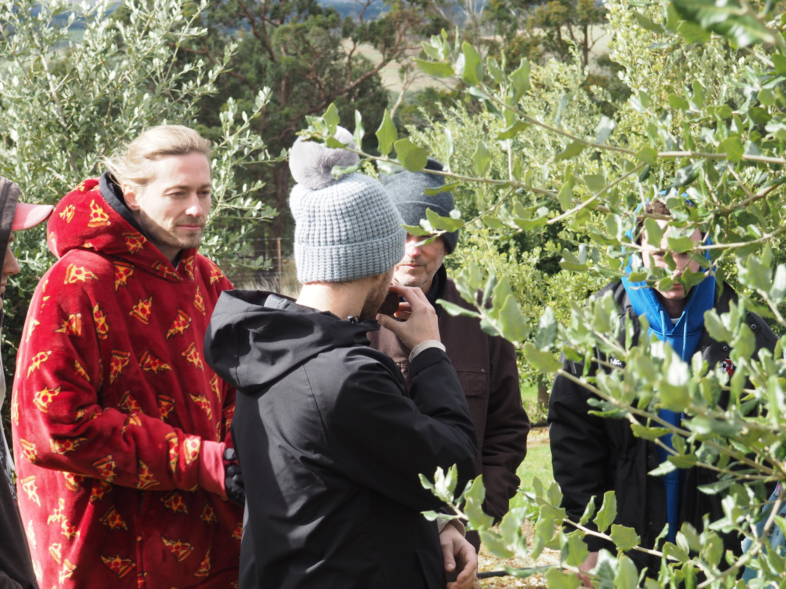 Truffle Hunt, Touch and Taste