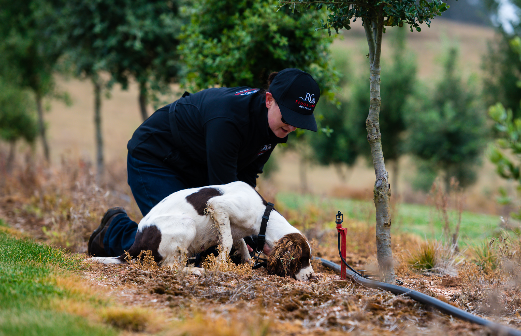 Winter Truffle Hunt, Touch and Taste: The Immersion Experience.