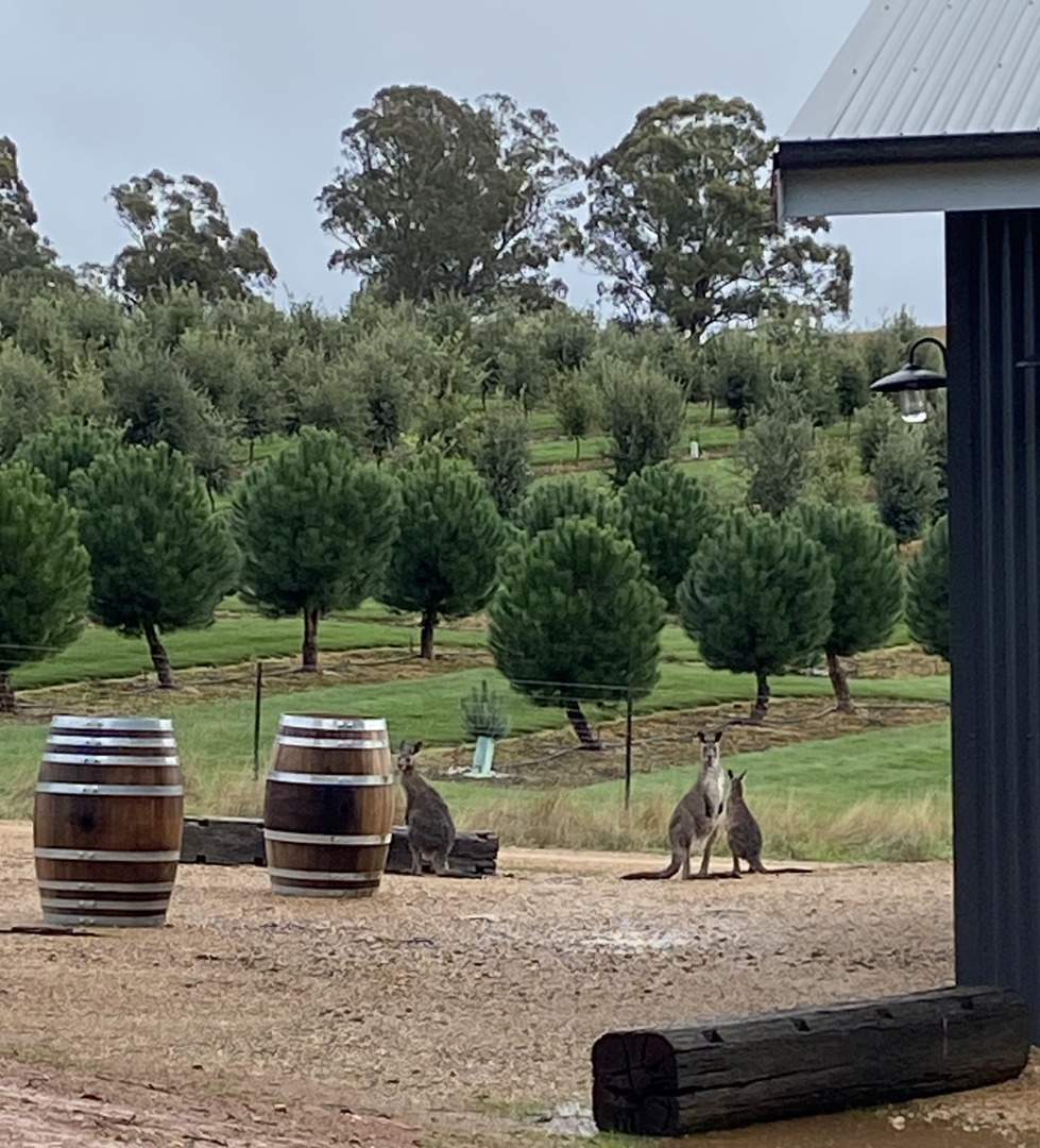 Truffle Hunting Lodge Boutique Conference Centre