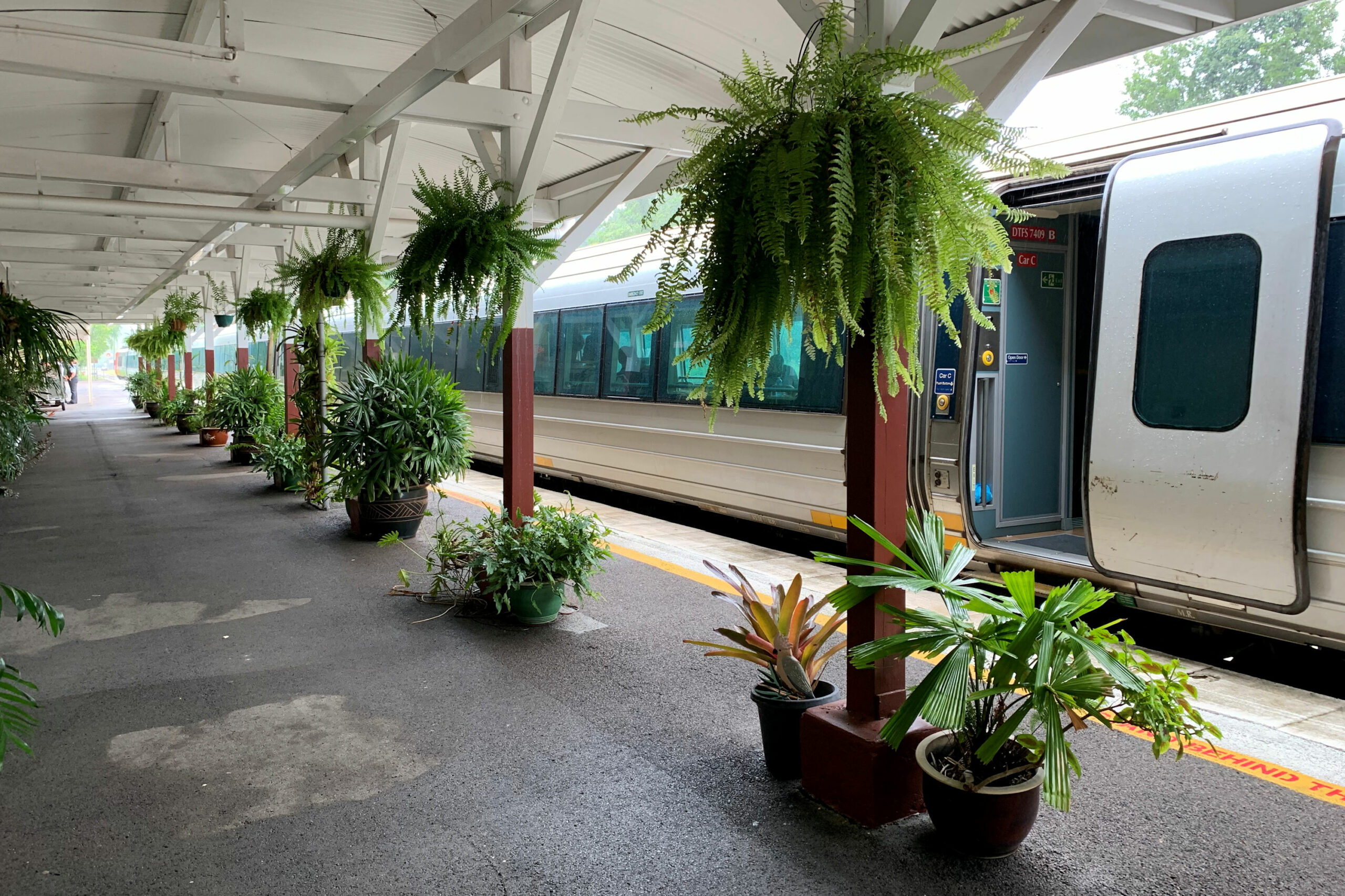 Tully Railway Station to Mission Beach | Meet & Greet: Spirit of Queensland Northbound | One-Way | 2.00pm