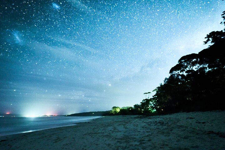 Jervis Bay Beach Stargazing Tour with an Astrophysicist