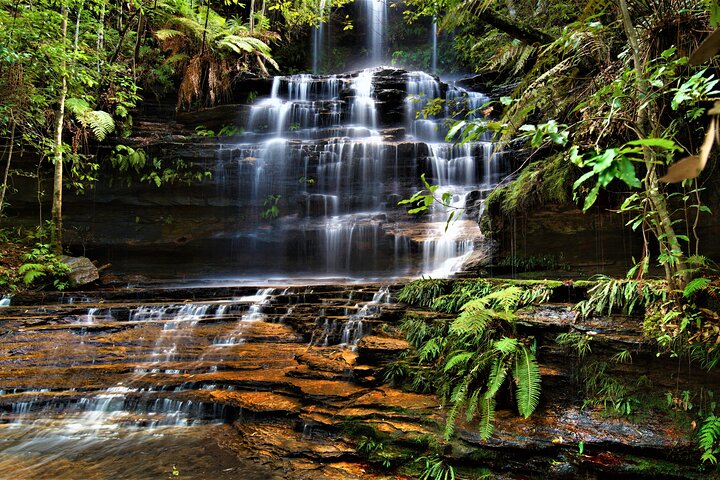 Blue Mountains Day Adventure, Featherdale Wildlife & River Cruise