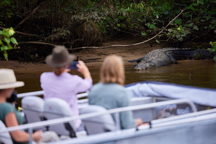 Daintree River ‘Dawn’ Cruise with the Daintree Boatman