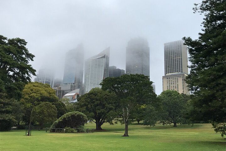 Sydney Small-Group Walking Tour: The Rocks & Botanic Garden