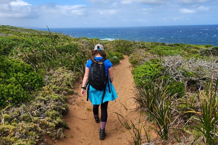 Laura the Explorer Tours