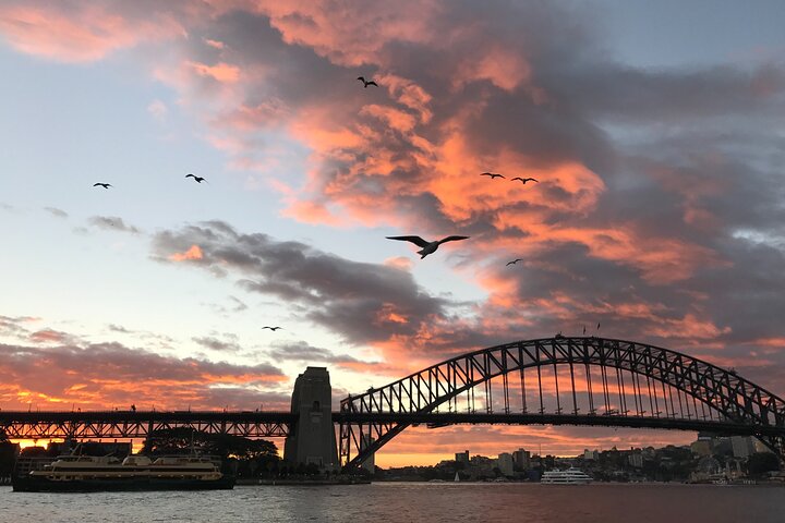 Sydney Small-Group Walking Tour: The Rocks & Botanic Garden