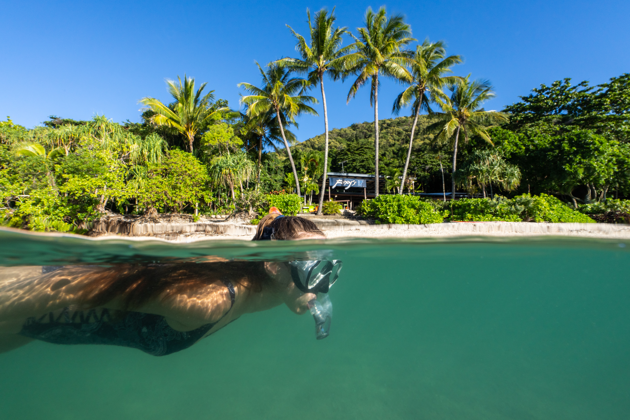 Full Day Tour | 8:00am Cairns to Fitzroy Island & 9:30am Intro Snorkel Adventure + Snorkel Safari Tour