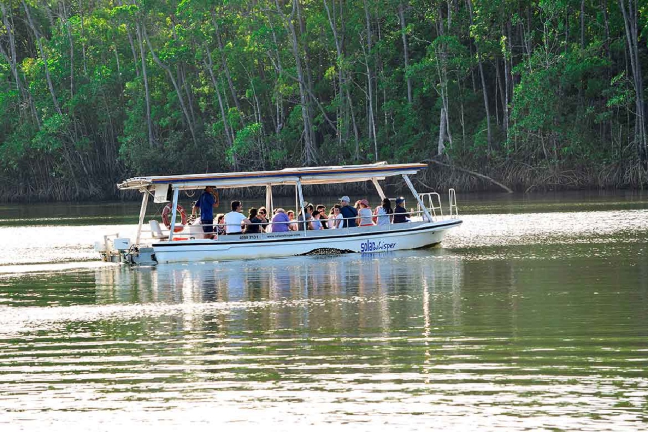 Culture Beach & Fishing Tour, Daintree Rainforest & Daintree River Cruise