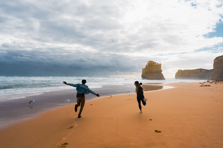 Full Day Tour of Great Ocean Road and 12 Apostles in Australia