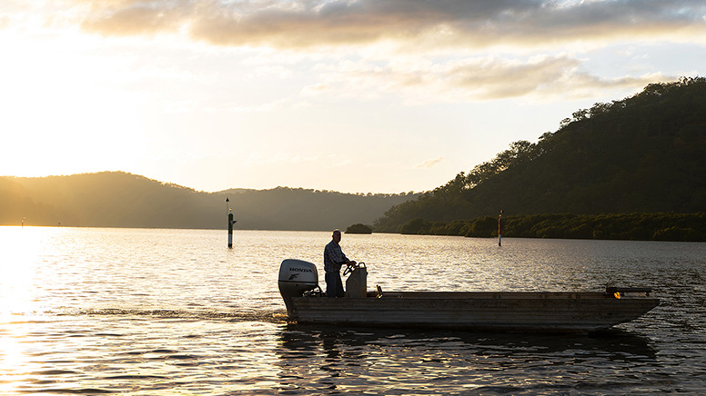 Sydney Oyster Farm Tour - 90 Minutes