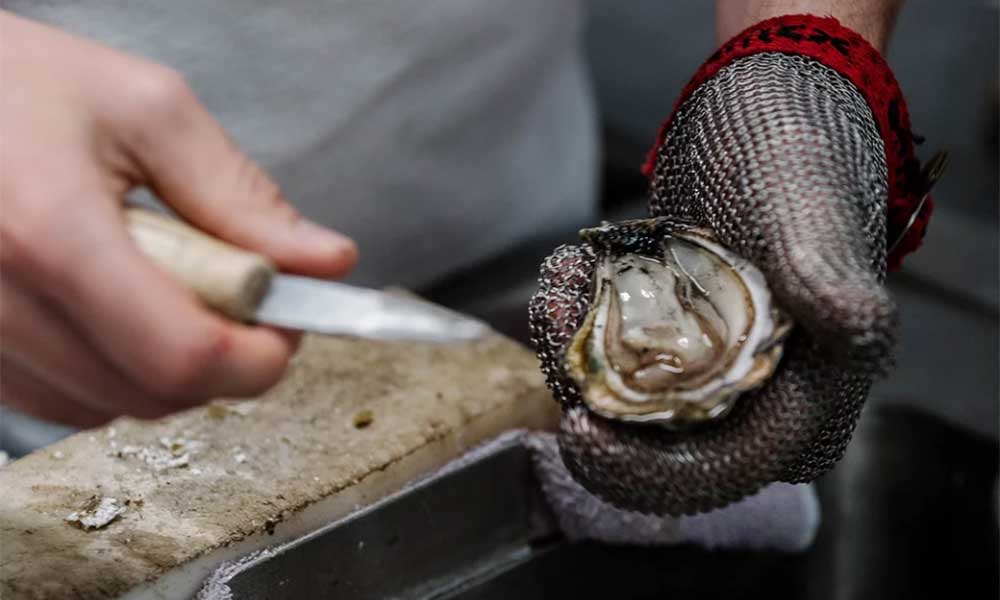 Sydney Oyster Farm Tour - 90 Minutes