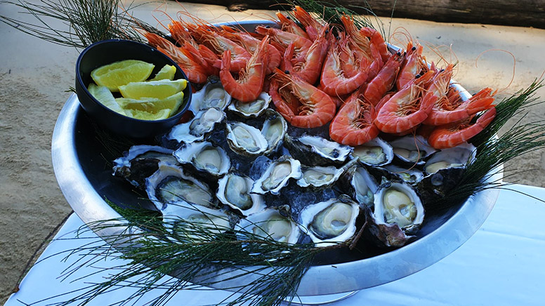 In-Water Dining and Oyster Farm Tour - Sydney