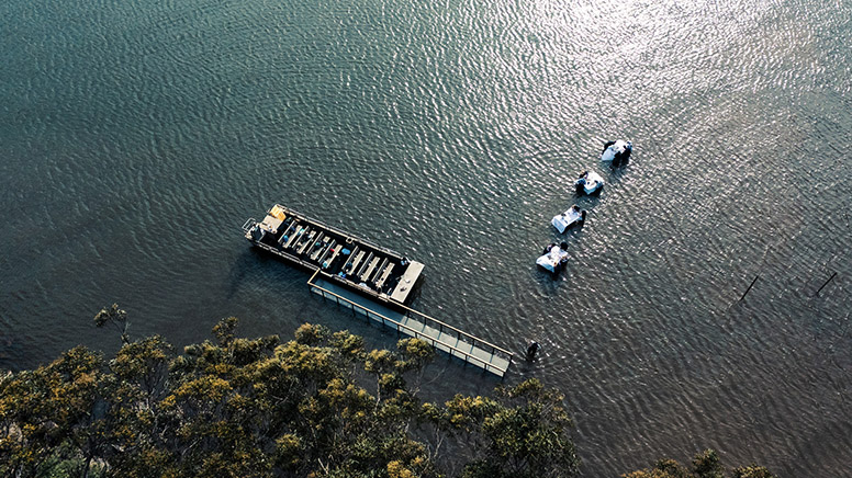 In-Water Dining and Oyster Farm Tour - Sydney