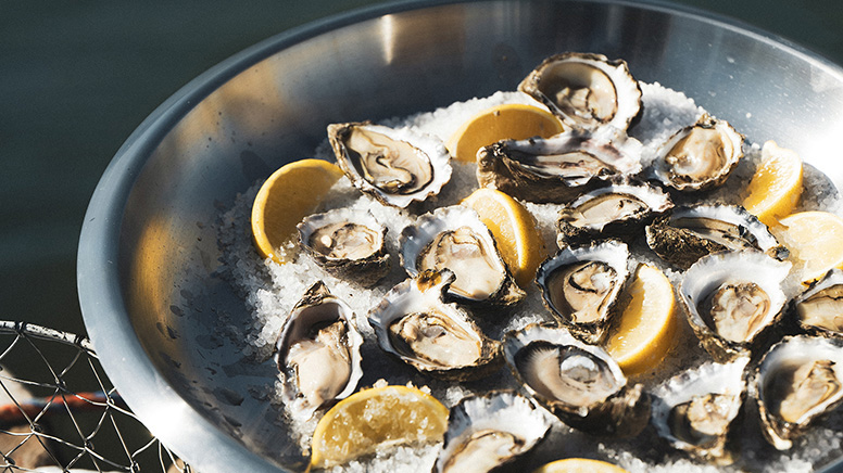 In-Water Dining and Oyster Farm Tour - Sydney