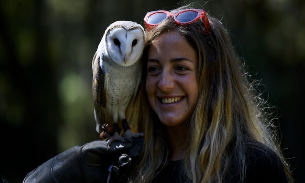 Margaret River Eagles Heritage Encounters and Birds of Prey Forest Walk