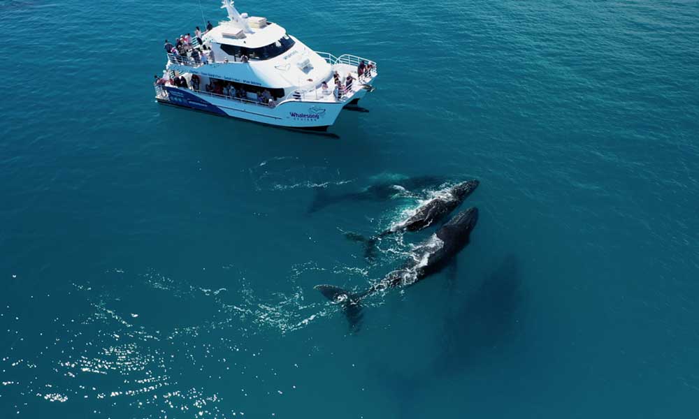 Fraser Island Half Day Beach and BBQ Cruise Adventure