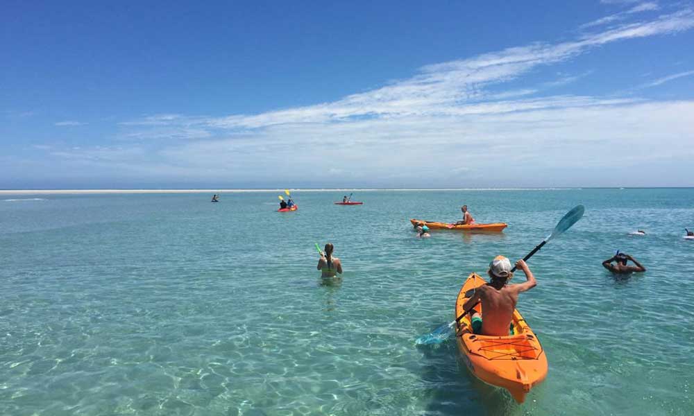 Fraser Island Half Day Beach and BBQ Cruise Adventure