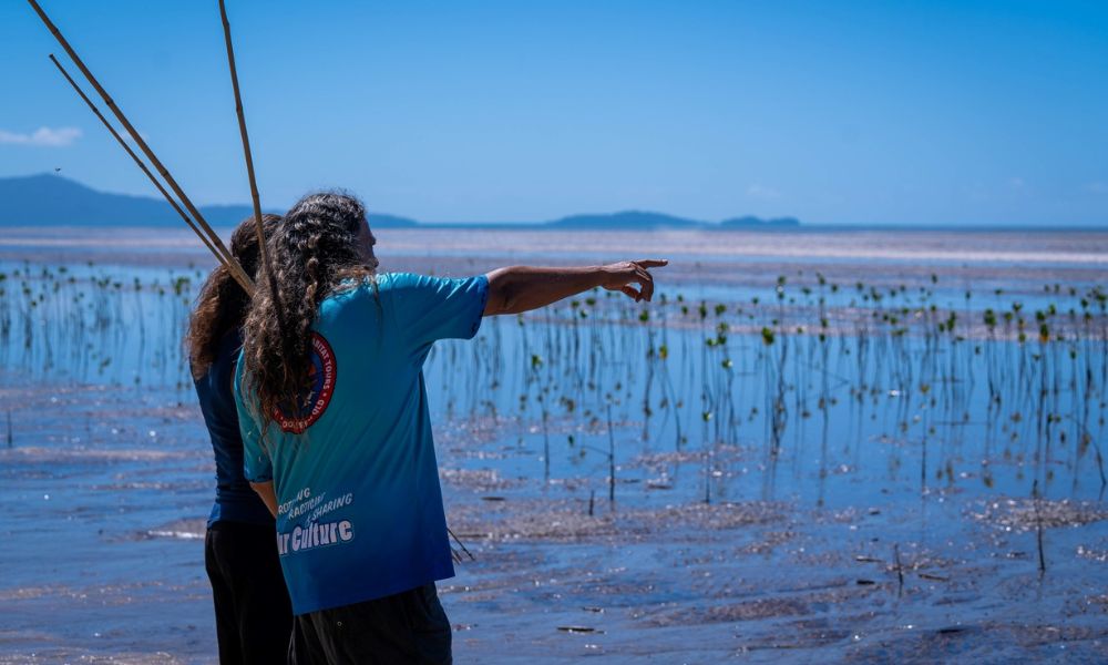 Cairns Cultural Day Tour with Daintree River Cruise and Lunch