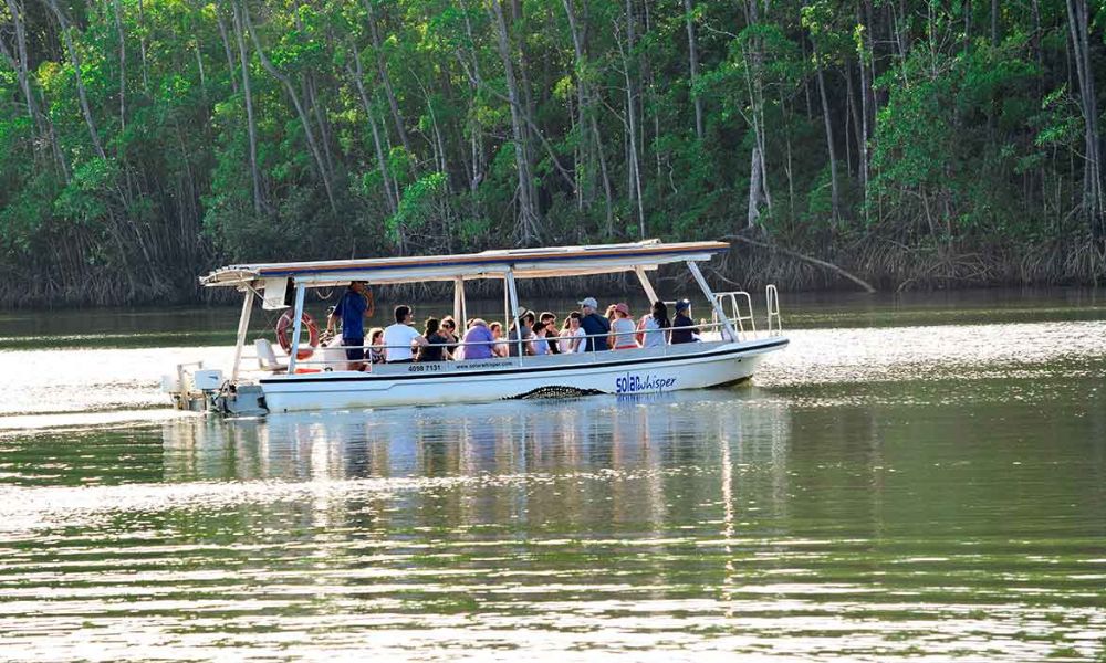 Cairns Cultural Day Tour with Daintree River Cruise and Lunch