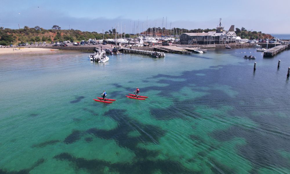 Mornington Waterbike Tour – 90 Minutes