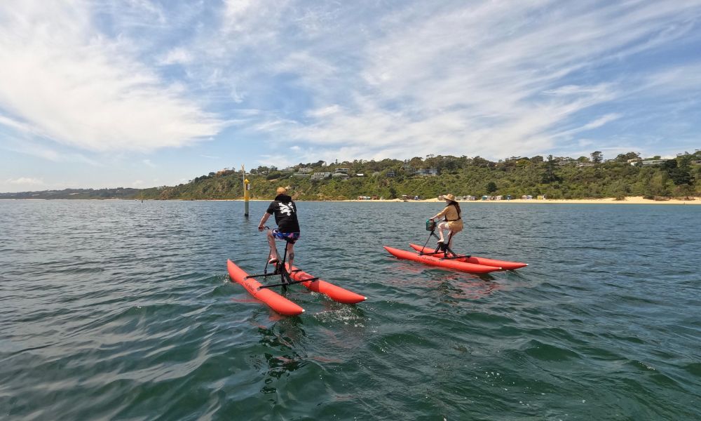 Mornington Waterbike Tour - 90 Minutes