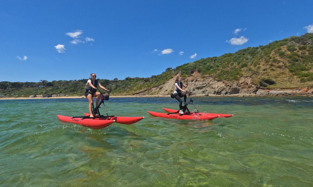 Mornington Waterbike Tour - 90 Minutes