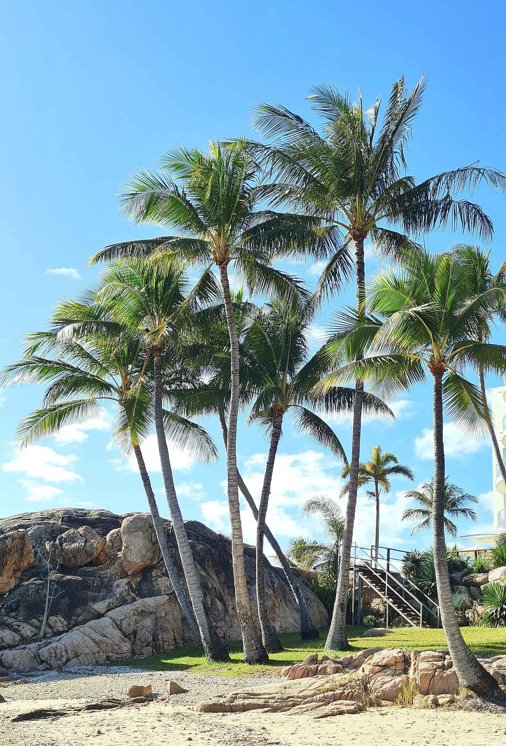 Bowen Beaches