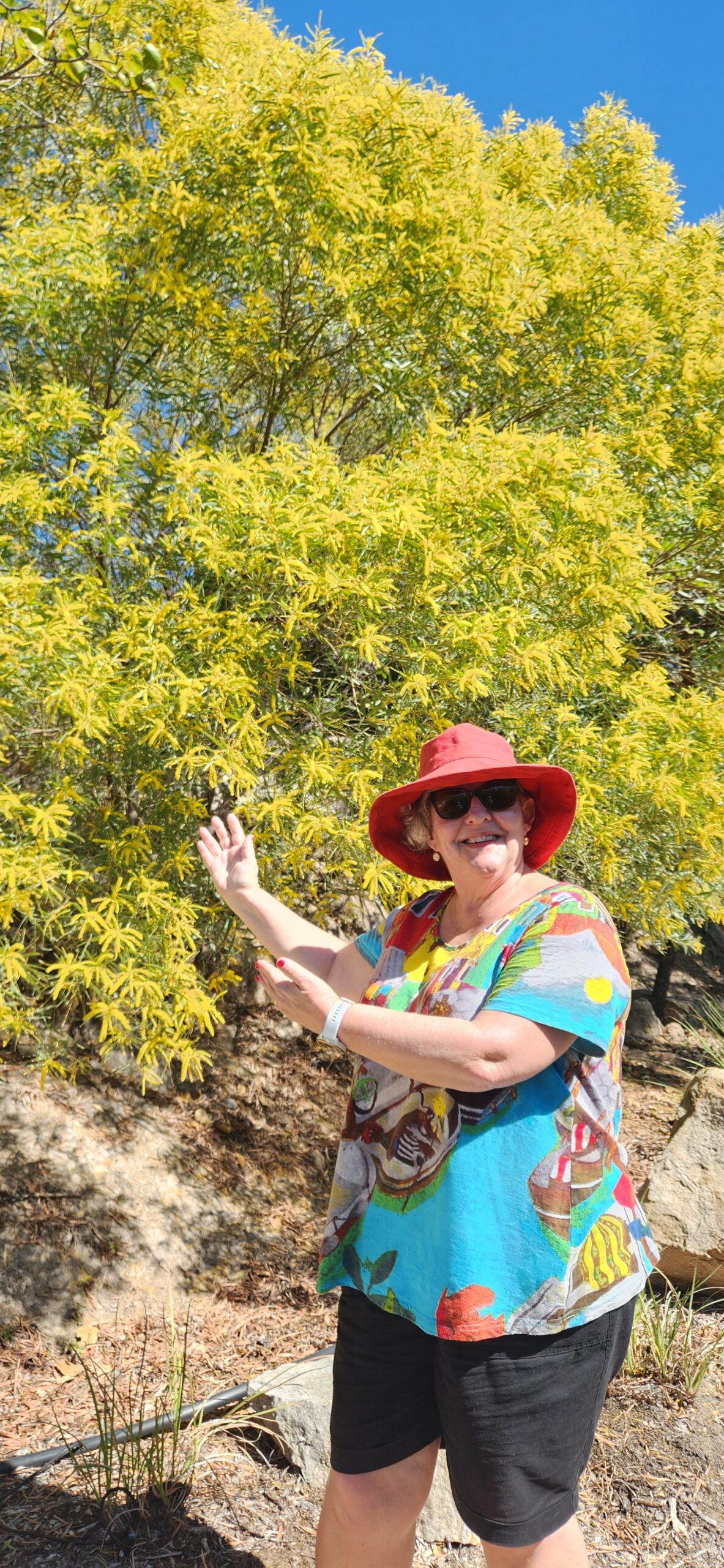 Bowen Beaches Discovery-Top of the Whitsundays