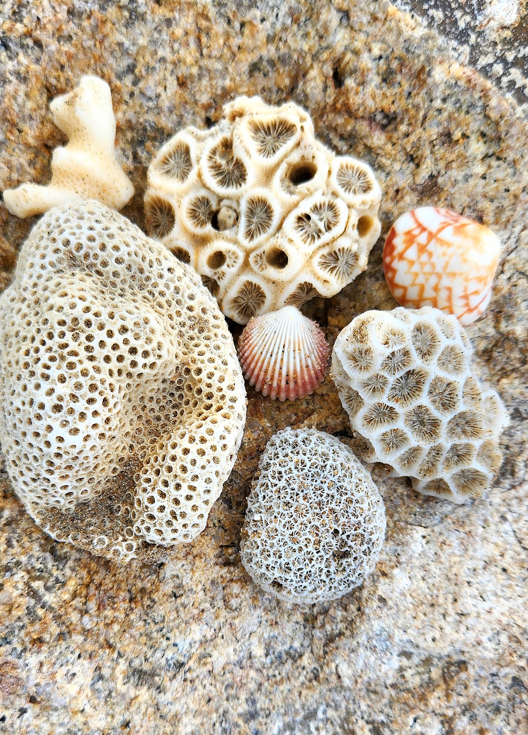 Bowen Beaches Discovery-Top of the Whitsundays