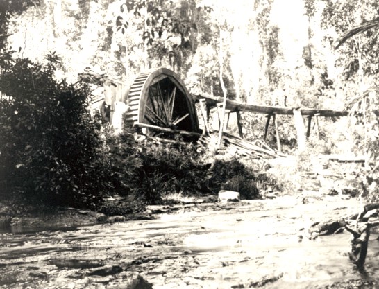 Secrets of Tamborine Mountain Day tour