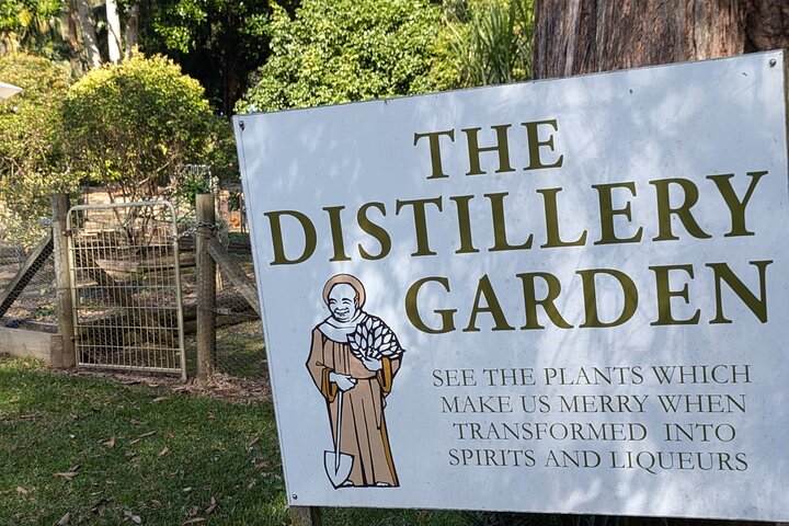 McLaren Vale Winery Small Group Tour with Wine Tasting and Lunch