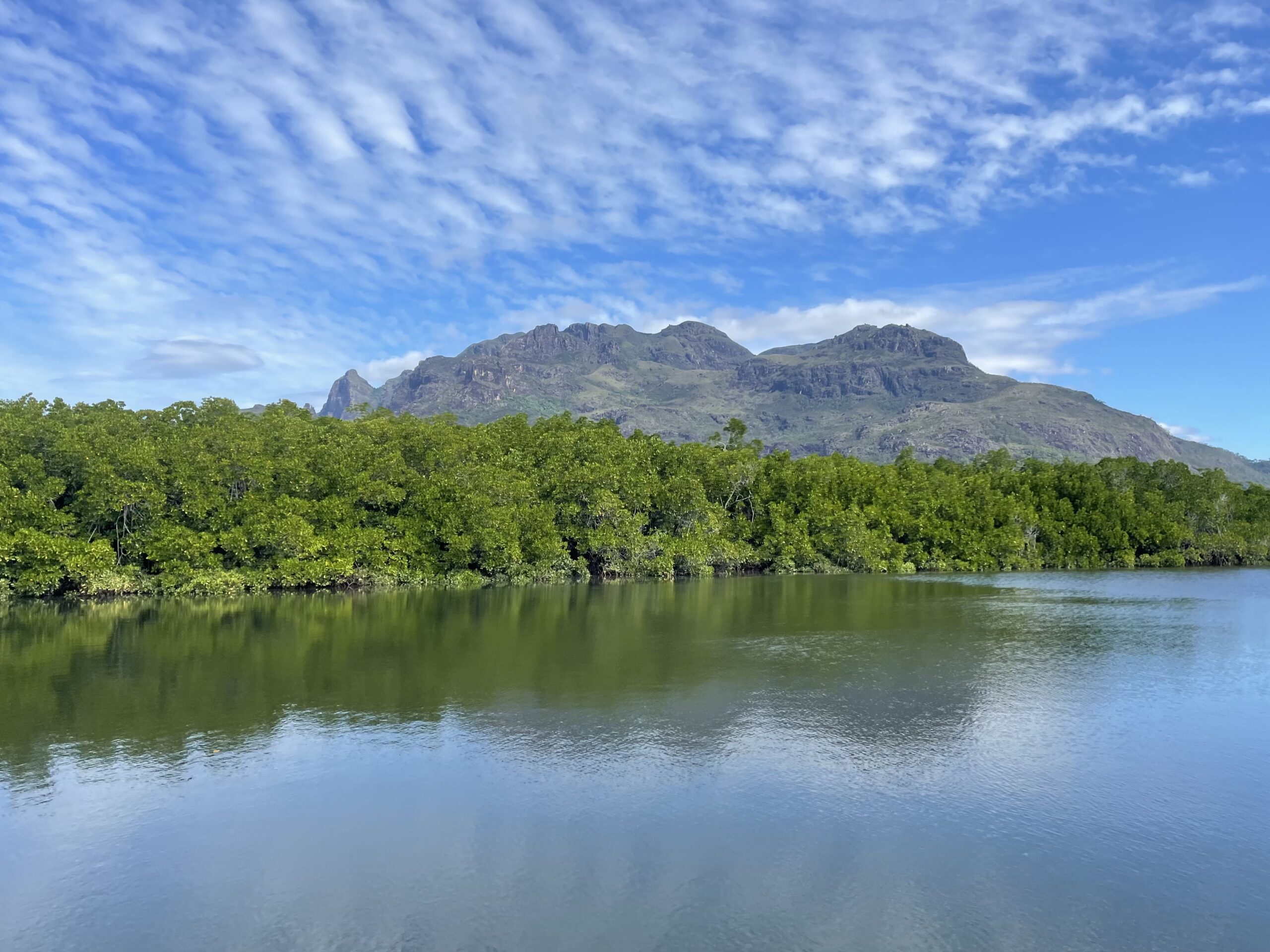 Sightseeing tour Hinchinbrook Island full day