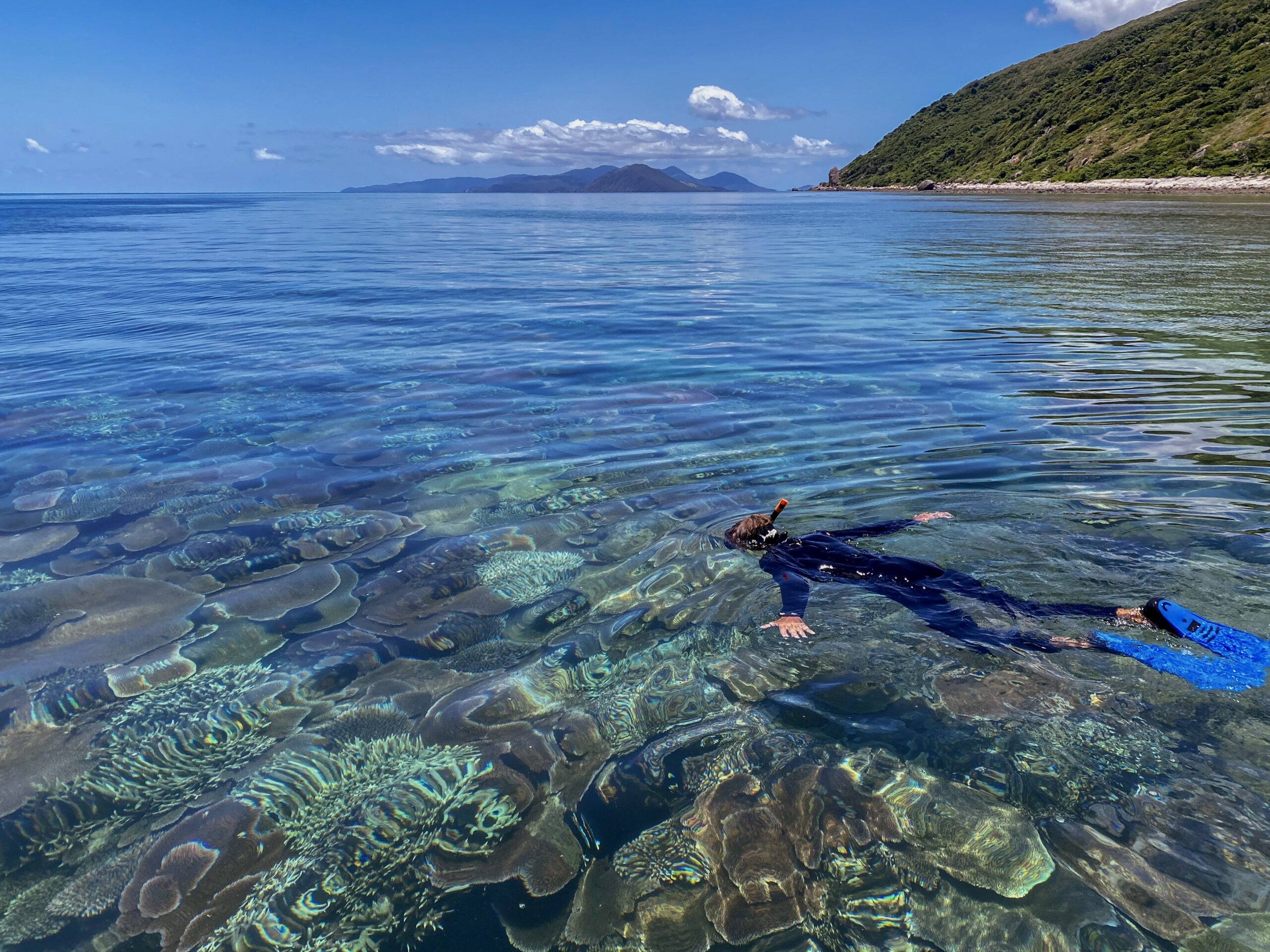 Full day Orpheus Island Snorkelling Tour