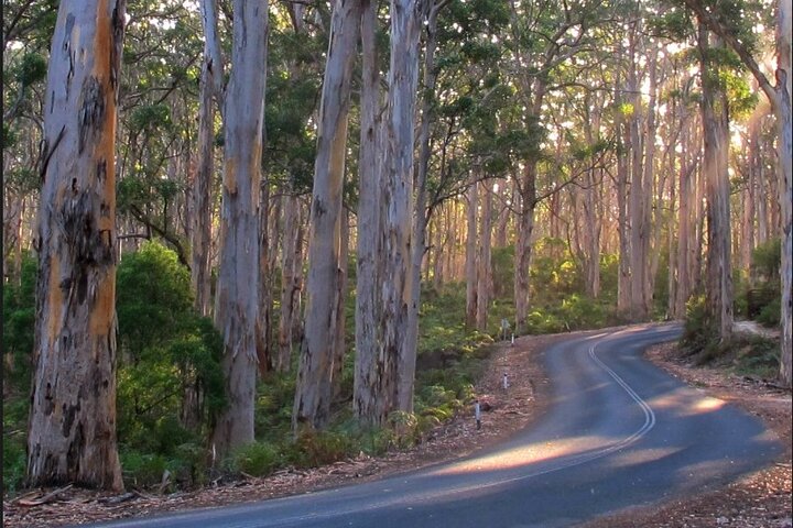 1 Day Margaret River Sightseeing Tour from Perth