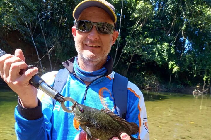 Jungle Perch Half Day Adventure in Cairns