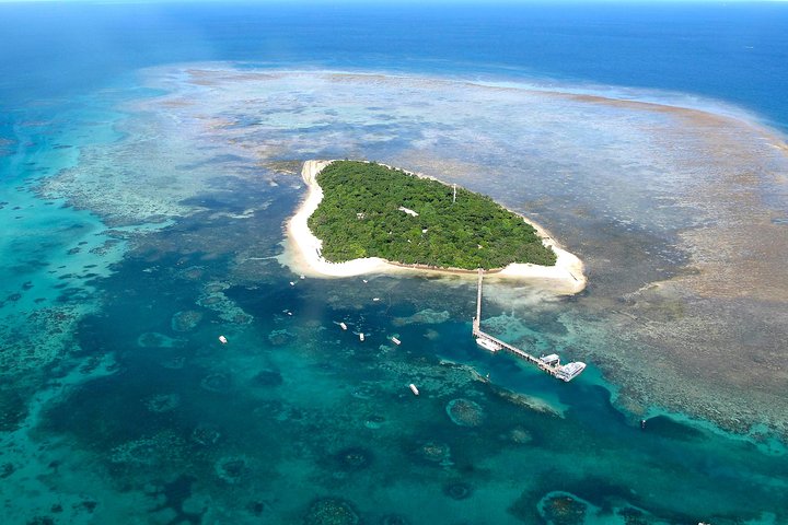Green Island Day Trip from Cairns with Beaches Transfers