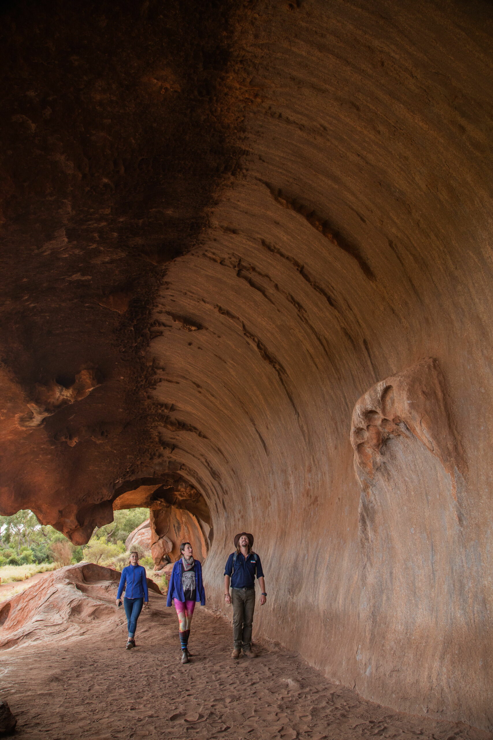 Uluru-Mala Walk Tour 乌鲁鲁马拉文化徒步之旅