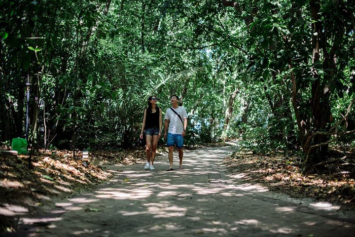 Green Island Day Trip from Cairns with City Transfers