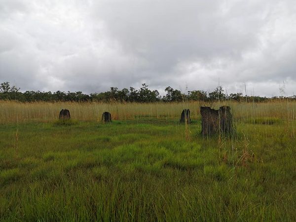 Litchfield N.P. & Jumping Crocodile Tour, 4WD, 6 guests max