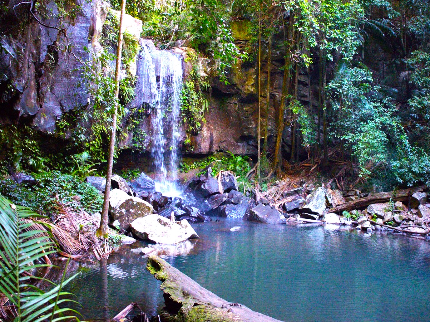 Secrets of Tamborine Mountain Day tour