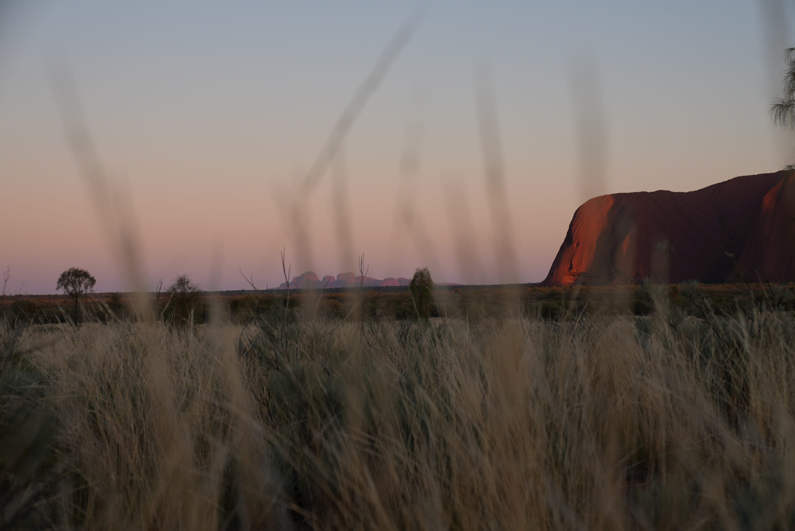 Uluru Sunrise and Base Tour 乌鲁鲁日出和岩石环游