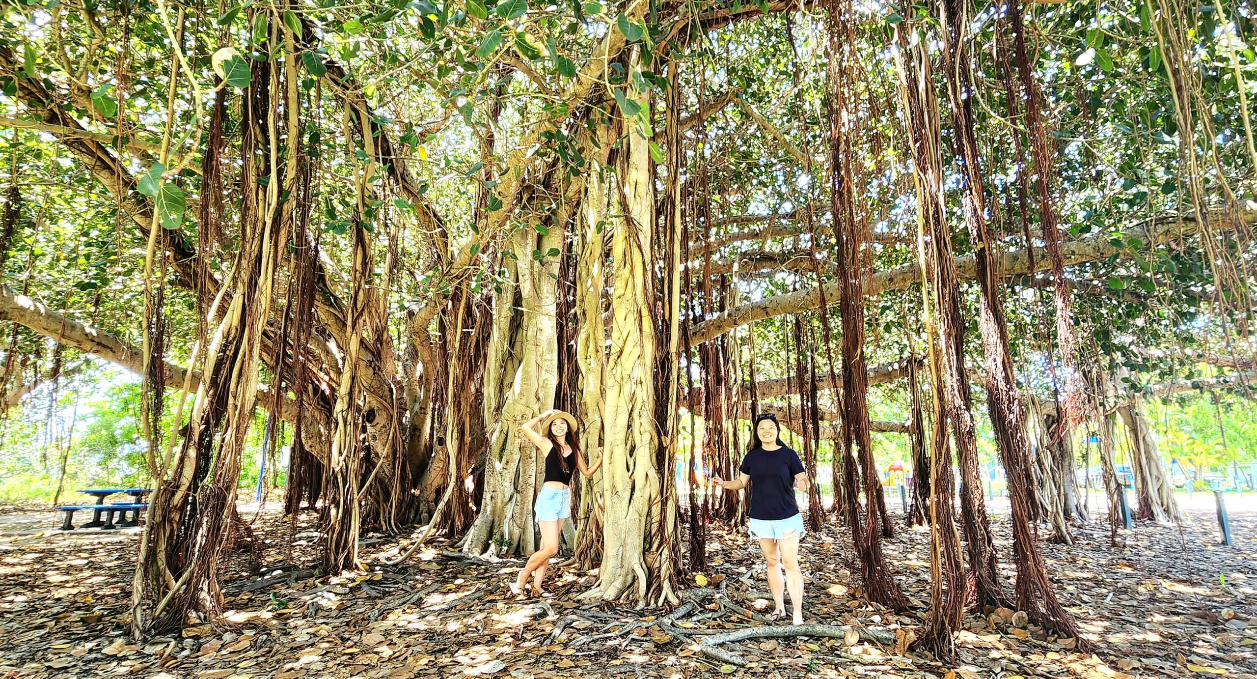 Bowen Beaches