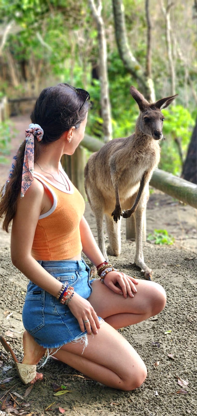 Sunrise with Kangaroos and Wallabies